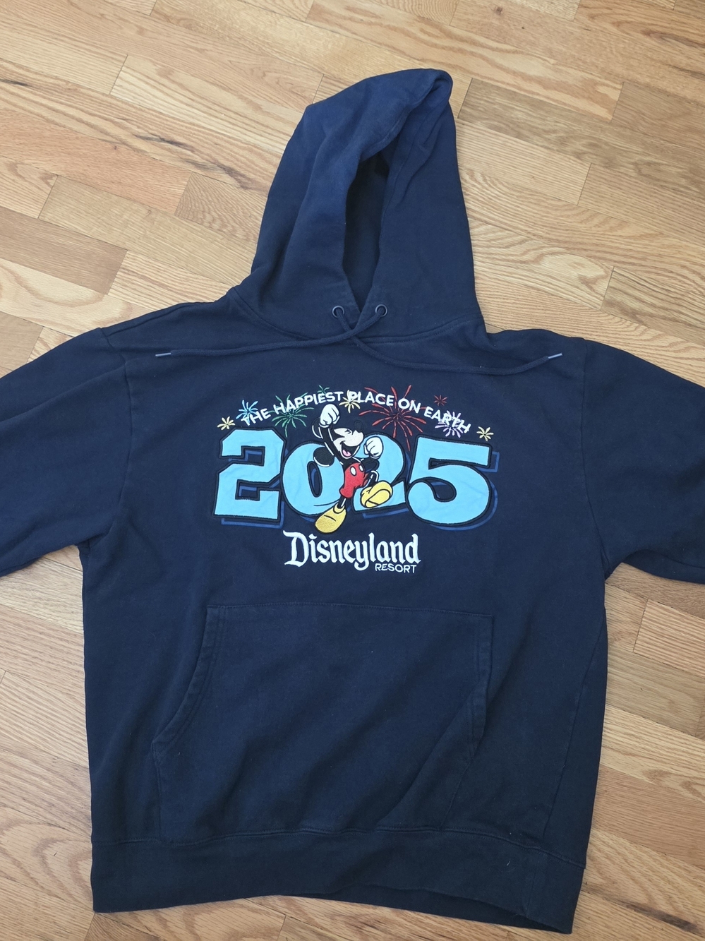 Disneyland 2005 Black Graphic Pullover Hoodie